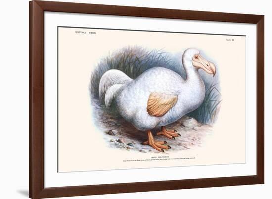Didus Solitarius Dodo-Lionel Walter Rothschild-Framed Premium Giclee Print