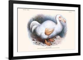 Didus Solitarius Dodo-Lionel Walter Rothschild-Framed Premium Giclee Print