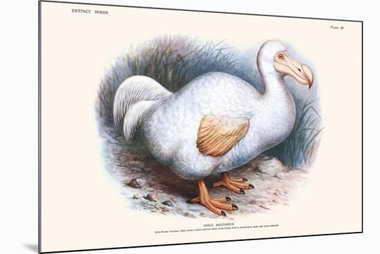 Didus Solitarius Dodo-Lionel Walter Rothschild-Mounted Premium Giclee Print