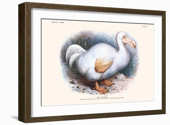 Didus Solitarius Dodo-Lionel Walter Rothschild-Framed Art Print