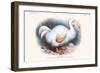 Didus Solitarius Dodo-Lionel Walter Rothschild-Framed Art Print