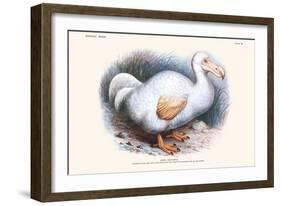 Didus Solitarius Dodo-Lionel Walter Rothschild-Framed Art Print