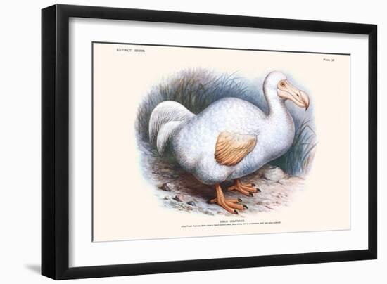 Didus Solitarius Dodo-Lionel Walter Rothschild-Framed Art Print