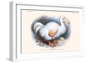 Didus Solitarius Dodo-Lionel Walter Rothschild-Framed Art Print