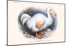 Didus Solitarius Dodo-Lionel Walter Rothschild-Mounted Art Print