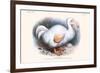 Didus Solitarius Dodo-Lionel Walter Rothschild-Framed Art Print