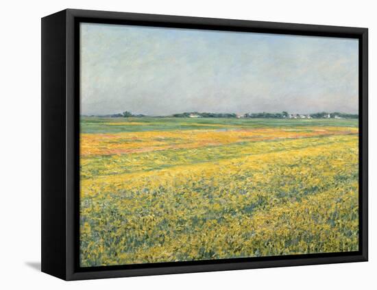 Die Ebene um Gennevilliers, Gelbe Felder (La plaine de Gennevilliers, champs jaunes). 1884-Gustave Caillebotte-Framed Stretched Canvas