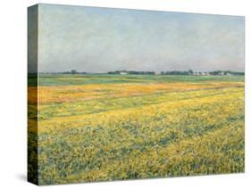 Die Ebene um Gennevilliers, Gelbe Felder (La plaine de Gennevilliers, champs jaunes). 1884-Gustave Caillebotte-Stretched Canvas