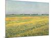 Die Ebene um Gennevilliers, Gelbe Felder (La plaine de Gennevilliers, champs jaunes). 1884-Gustave Caillebotte-Mounted Giclee Print