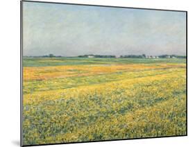 Die Ebene um Gennevilliers, Gelbe Felder (La plaine de Gennevilliers, champs jaunes). 1884-Gustave Caillebotte-Mounted Giclee Print