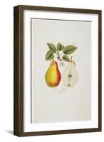 Die Fassbirn from 'Pomona Austriaca, Ou Arbres Fruitiers D'Autriche', 1787-96-Johann Kraft-Framed Giclee Print