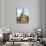 Die Frauenkirche in Dresden-Matthias Rietschel-Premium Photographic Print displayed on a wall