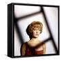 DIE HALBZARTE / EVA ou CARNET INTIME by JEUNE FILLE, 1958 DIRECTE Romy Schneider (photo)-null-Framed Stretched Canvas