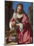 Die heilige Praxedis-Johannes Vermeer-Mounted Giclee Print