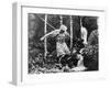 Die Nibelungen: Siegfried, 1924-null-Framed Photographic Print