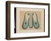 Die Ruderqualle. Ocyrrhoe Maculata, 1874 (Watercolour on Paper)-Aloys Zotl-Framed Giclee Print