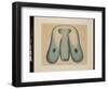 Die Ruderqualle. Ocyrrhoe Maculata, 1874 (Watercolour on Paper)-Aloys Zotl-Framed Giclee Print