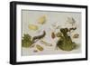 Die Verwandlung der Seidenraupe-Jan van Kessel-Framed Giclee Print