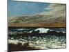 Die Woge (La vague). 1870-Gustave Courbet-Mounted Giclee Print