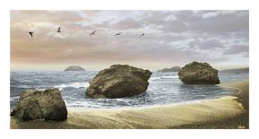 Bodega Beach 1-Diego Ceja-Laminated Giclee Print