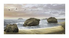 Lotus Panorama-Diego Ceja-Framed Giclee Print