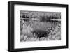 Diemer Lake-Scott Peck-Framed Premium Giclee Print