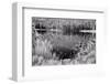 Diemer Lake-Scott Peck-Framed Premium Giclee Print