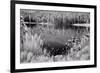 Diemer Lake-Scott Peck-Framed Premium Giclee Print