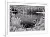 Diemer Lake-Scott Peck-Framed Premium Giclee Print