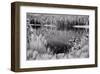 Diemer Lake-Scott Peck-Framed Art Print