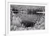 Diemer Lake-Scott Peck-Framed Art Print