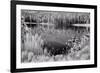 Diemer Lake-Scott Peck-Framed Art Print