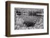 Diemer Lake-Scott Peck-Framed Art Print