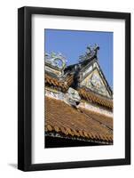 Dien Tho Palace, Thua Thien Hue Province-Nathalie Cuvelier-Framed Photographic Print