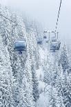 Forest, Conifers, Wooden Cross, Snow-Covered-Dietmar Walser-Photographic Print