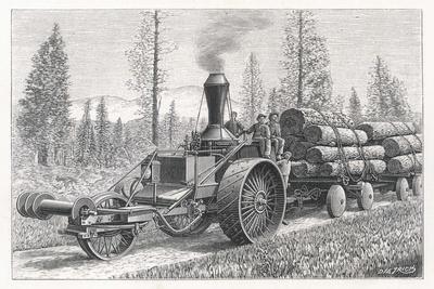 Sturdy Three-Wheeled Steam- Powered Traction Engine Used in the Timber Industry California