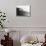 Dieudonne Costes-null-Mounted Photographic Print displayed on a wall