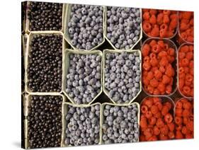 Different Berries at the Outdoor Market, Stockholm, Sweden-Nancy & Steve Ross-Stretched Canvas