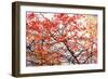 Different Fall-Philippe Sainte-Laudy-Framed Photographic Print