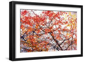 Different Fall-Philippe Sainte-Laudy-Framed Photographic Print