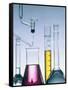 Different flasks with fluids-Paul Steeger-Framed Stretched Canvas