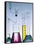 Different flasks with fluids-Paul Steeger-Framed Stretched Canvas