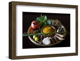 Different Indian Spices on Display at Swaswara, Karnataka, India, Asia-Thomas L-Framed Photographic Print