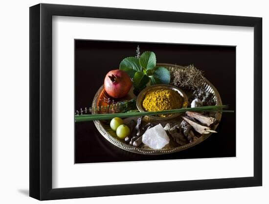 Different Indian Spices on Display at Swaswara, Karnataka, India, Asia-Thomas L-Framed Photographic Print