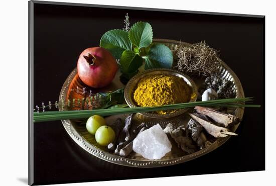 Different Indian Spices on Display at Swaswara, Karnataka, India, Asia-Thomas L-Mounted Photographic Print