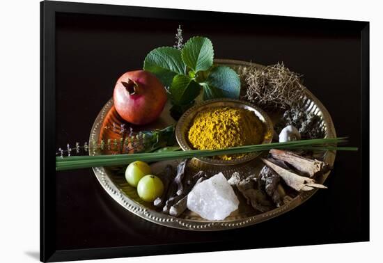 Different Indian Spices on Display at Swaswara, Karnataka, India, Asia-Thomas L-Framed Photographic Print