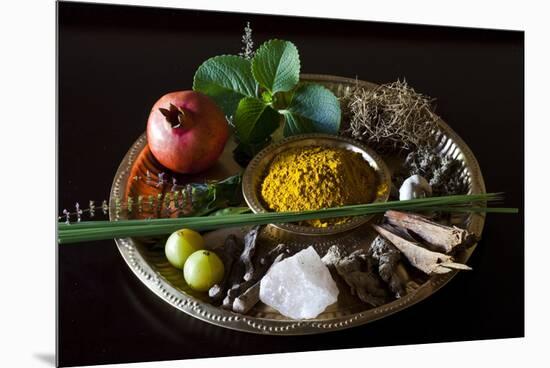 Different Indian Spices on Display at Swaswara, Karnataka, India, Asia-Thomas L-Mounted Premium Photographic Print