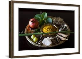 Different Indian Spices on Display at Swaswara, Karnataka, India, Asia-Thomas L-Framed Photographic Print