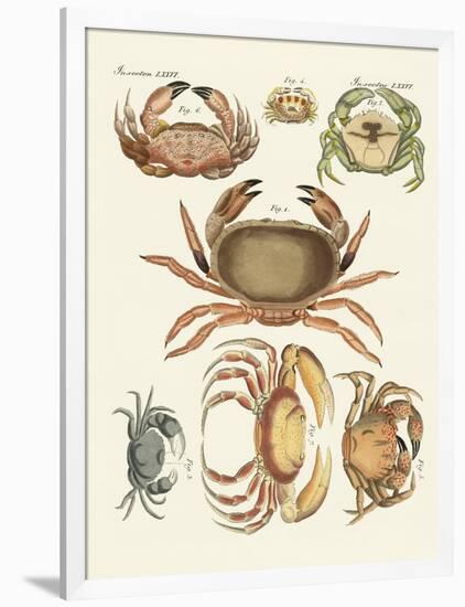 Different Kinds of Crabs-null-Framed Giclee Print