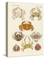 Different Kinds of Crabs-null-Stretched Canvas